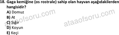 ata laborantvet 1948 18