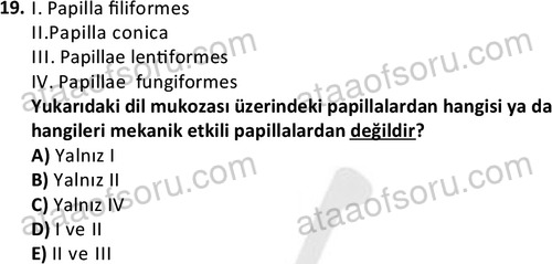ata laborantvet 1948 19