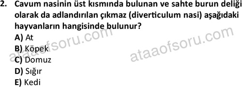 ata laborantvet 1948 2