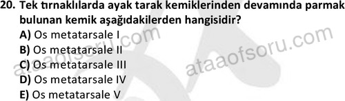 ata laborantvet 1948 20