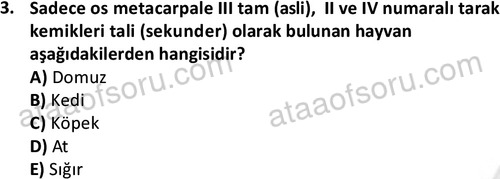 ata laborantvet 1948 3