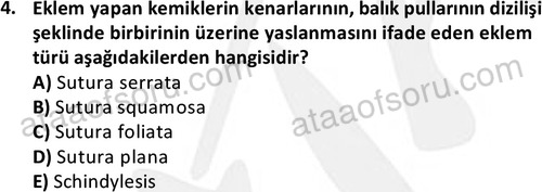 ata laborantvet 1948 4