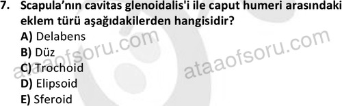 ata laborantvet 1948 7