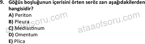 ata laborantvet 1948 9