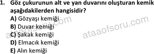 ata laborantvet 1948 1
