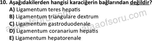ata laborantvet 1948 10
