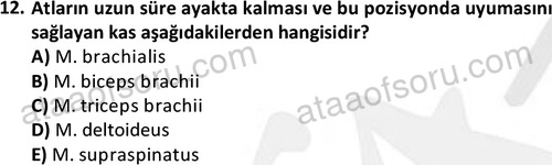 ata laborantvet 1948 12