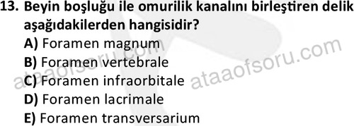 ata laborantvet 1948 13