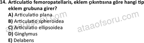 ata laborantvet 1948 14