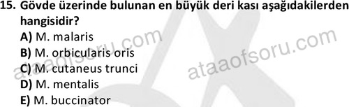 ata laborantvet 1948 15