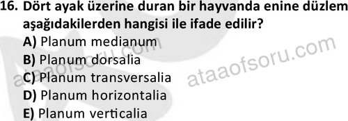 ata laborantvet 1948 16