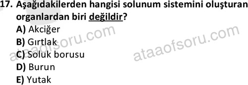 ata laborantvet 1948 17