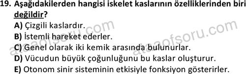 ata laborantvet 1948 19