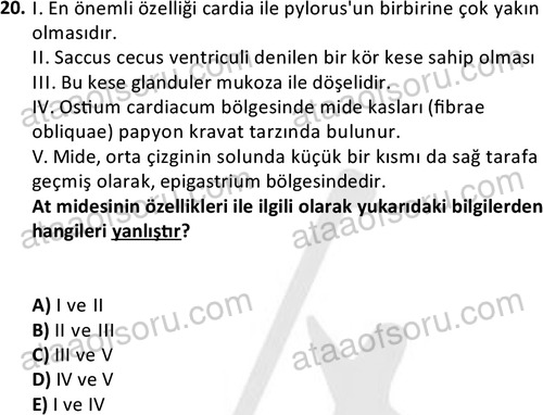 ata laborantvet 1948 20