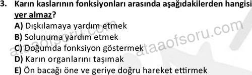ata laborantvet 1948 3