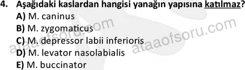 ata laborantvet 1948 4