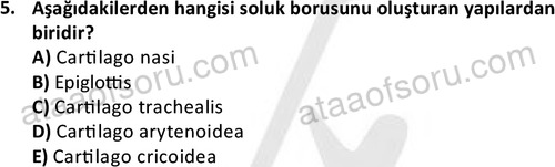 ata laborantvet 1948 5