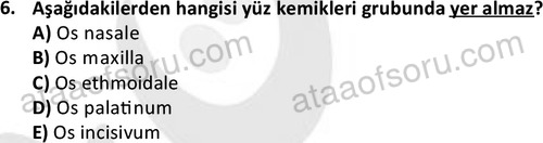 ata laborantvet 1948 6