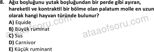 ata laborantvet 1948 8
