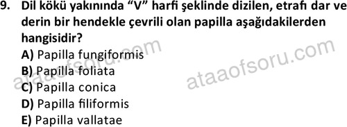 ata laborantvet 1948 9