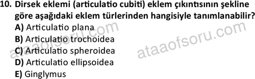 ata laborantvet 1948 10