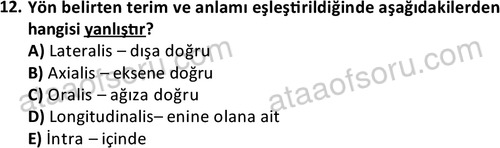 ata laborantvet 1948 12