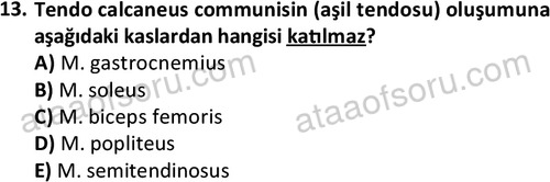 ata laborantvet 1948 13