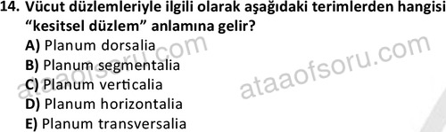ata laborantvet 1948 14