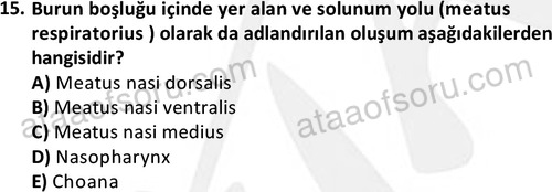 ata laborantvet 1948 15