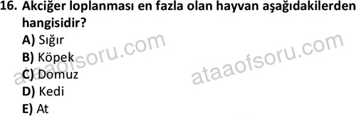 ata laborantvet 1948 16