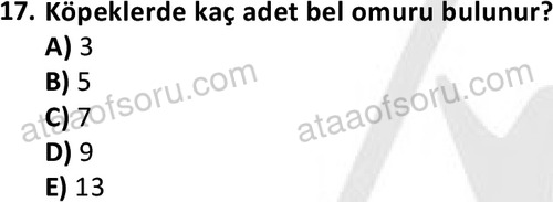 ata laborantvet 1948 17