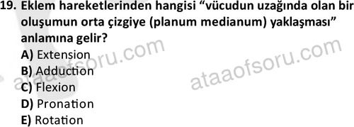 ata laborantvet 1948 19