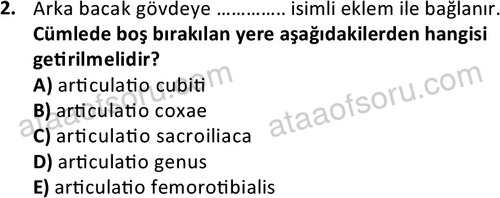 ata laborantvet 1948 2
