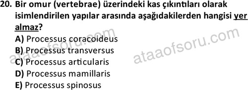 ata laborantvet 1948 20