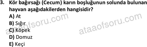 ata laborantvet 1948 3