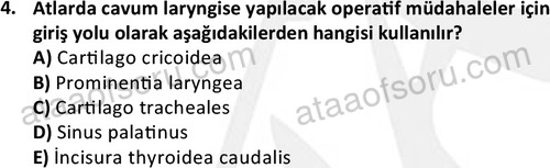 ata laborantvet 1948 4