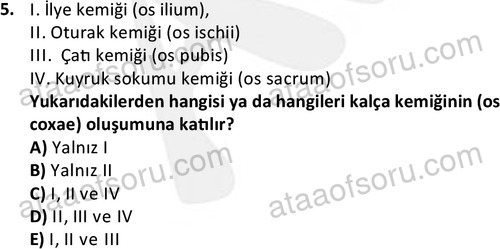 ata laborantvet 1948 5