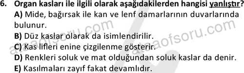 ata laborantvet 1948 6