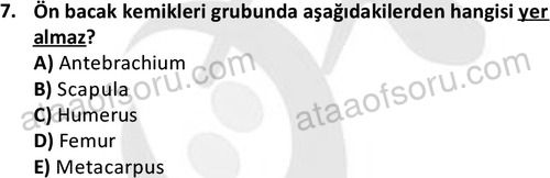 ata laborantvet 1948 7