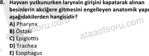 ata laborantvet 1948 8
