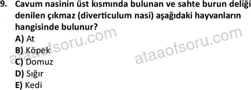 ata laborantvet 1948 9