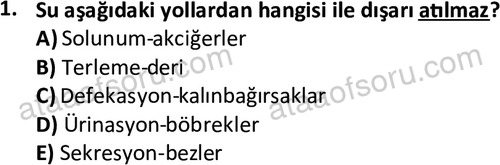 ata laborantvet 1950 1