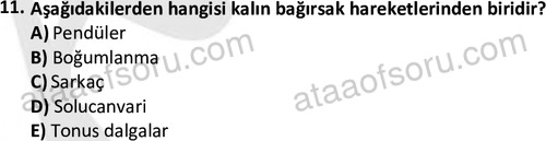 ata laborantvet 1950 11