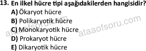 ata laborantvet 1950 13