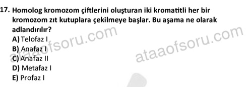 ata laborantvet 1950 17