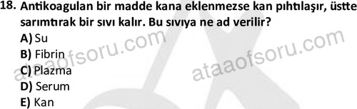 ata laborantvet 1950 18