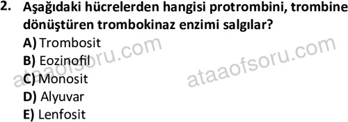 ata laborantvet 1950 2