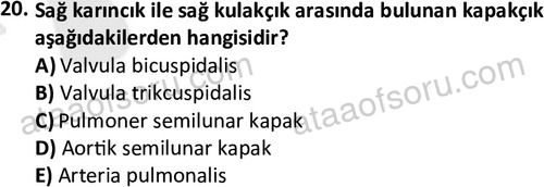 ata laborantvet 1950 20