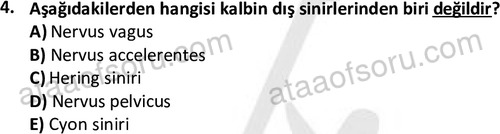 ata laborantvet 1950 4