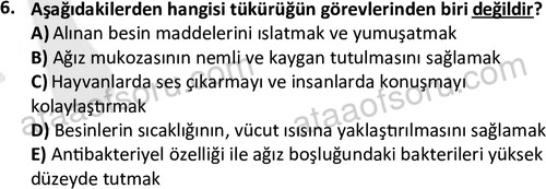 ata laborantvet 1950 6